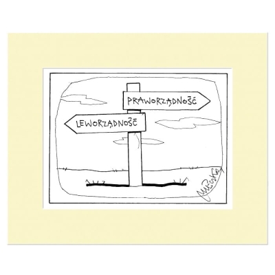 Oryginał - Praworządność, leworządność